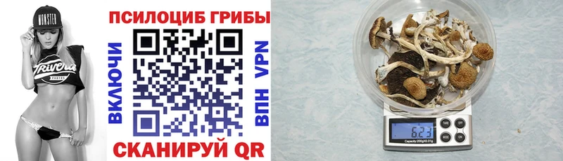 Галлюциногенные грибы мухоморы  купить наркотики цена  это телеграм  Кызыл 